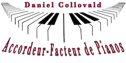 Dan Collovald